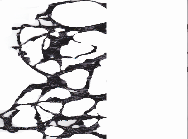 wp9f088bfd.png